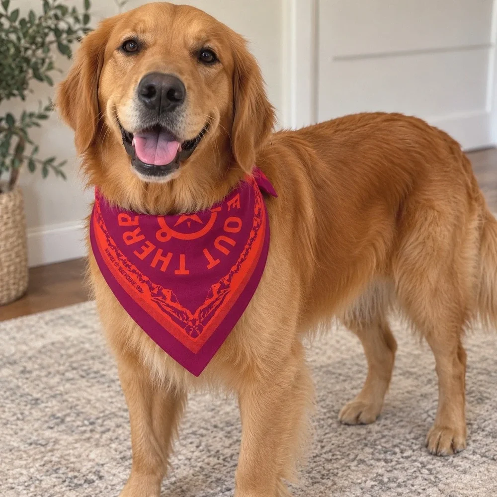 Arcadia Trail Dog Bandana Purple Orange Out There Mountain Graphic L/XL